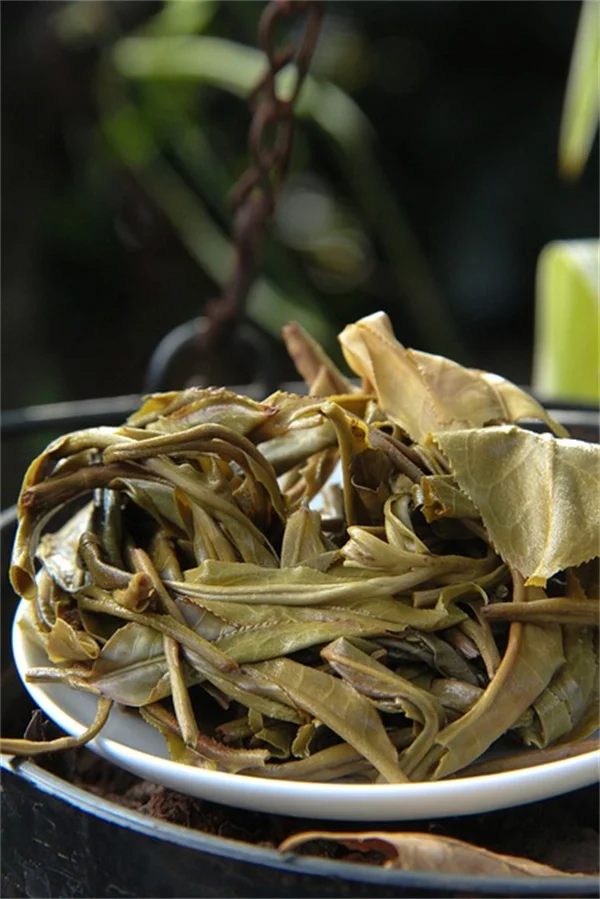 Plant-Based Diet for Snoring: 5 Foods That Help You Sleep Quietly