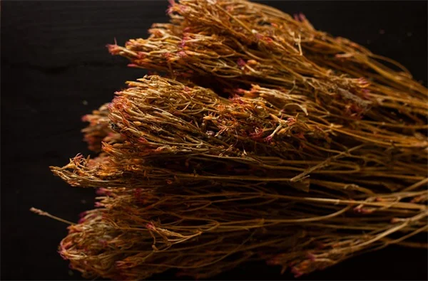 AFib in Younger Adults: Shocking New Findings You Need to Know